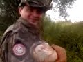 Tadzia Amur 19 kg