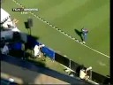 Cricket Cricket