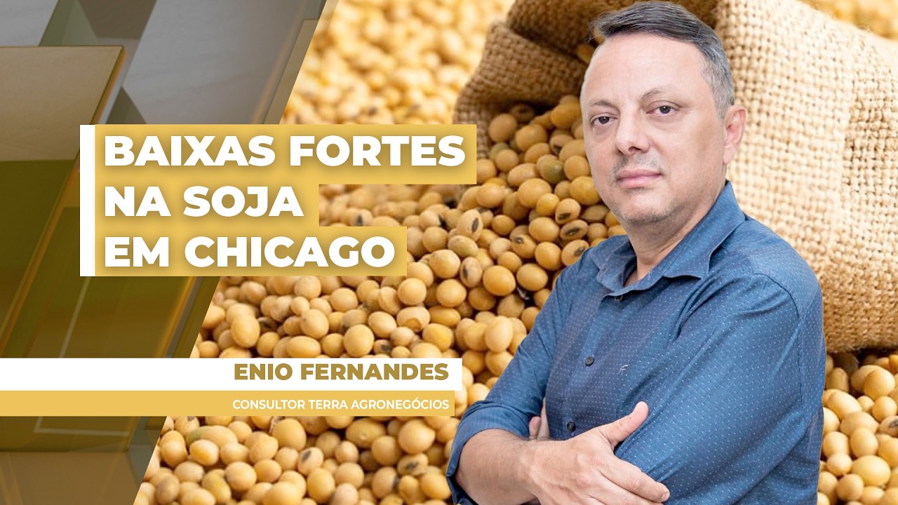 Soja fecha com mais de 1% de baixa em Chicago e, no BR, sente pressão adicional do dólar