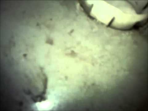 how to clean mx 5 drain