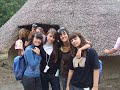 Viaggio in Irlanda (Limerick 2008)