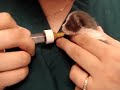 Little Stray Baby Kitten Is Hungry!  ~Part 5~