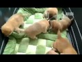 Shiba