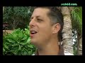 lanka andy