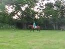 RIDING MY HORSE JOHNNY! 