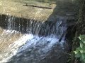 Czatkowice - wiosna nad rzeką