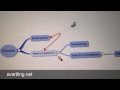 Här är en video som visar hur man skapar mindmaps med iThoughts för iOS och även synkar dem med alla enheter du har