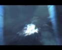 The End of Crysis