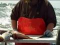 Jul 25 2008 - VID00054