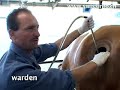 Cow doctors