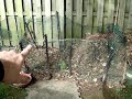 YouTube - Human Urine for Compost, Start to Finish