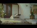 Monster Television Commercial: Stork