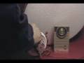 Build a AM Antenna Lens