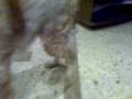 videos de MOV00002.3gp