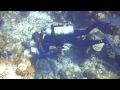 videos de MEXP Divers work sunken wreck site in the Dominican Republic waters