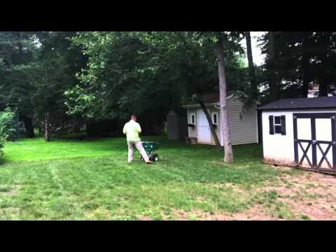 how to fertilize a newly seeded lawn