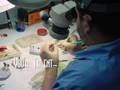 Your Future is Here - Dental Technician International Assoc.