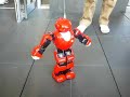 \"MANOI\" Cute Robot@akihabara??????????????
