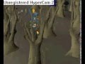 Runescape me dieng in wilderness with full rune (g)