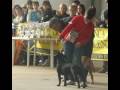 videos de Anxanum Dea