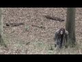 Cyclical Trailer Cyclical Trailer