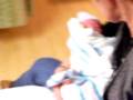 videos de Dominic