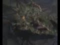 my plants my plants