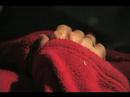 disturbing the priest test scenes