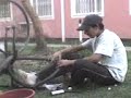 el bobo 2