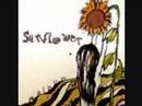 freddie hubbard little sunflower