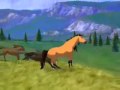 Spirit - Homeland.MP4