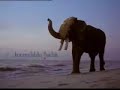 incredible india taj mahalindia  wild liferajasthandesert