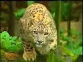 incredible india taj mahalindia  wild liferajasthandesert