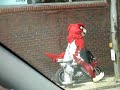 atlanta-hawk-on-motorcycle.html