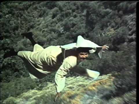 Flying Nun - Sally Field has enjoyed a distinguished acting career spanning nearly half a century. American TV audiences of all ages fell in love with