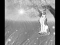 videos de Brightheart x cloudtail- No One