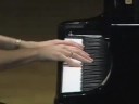 Robin Spielberg performs West Bank Serenade