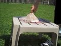 Backyard Science: The Failcano!