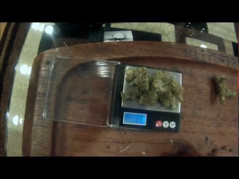 how to measure a g of weed without a scale