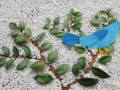 Bird Brain (Part 3 of 4) - Bower Bird Display and Invasive Hands