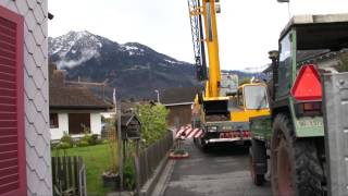 #593 Wie pflanze ich einen Grossbaum Teil 4v11 - Der Baum geht in die Luft 