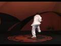 YinYang BaGuaZhang (田氏 阴阳八卦掌) 虎形一掌(Tiger)
