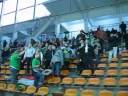 steaua-Fradi steaua-Fradi