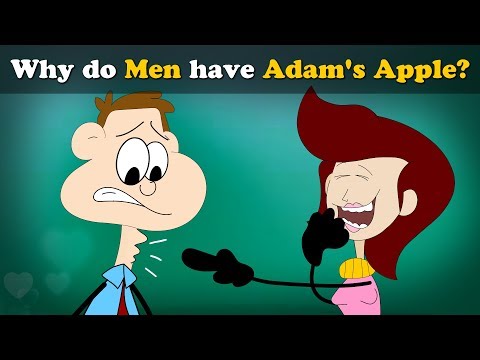 Why Do Men Have Adam