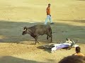 vaquillas zuera 2007
