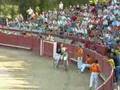 vaquillas zuera 2007