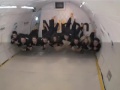 Zero Gravity with Norton! Zero Gravity with Norton!