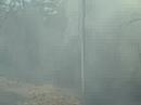 alexis brush fire