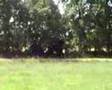 videos de Lits+Lauwers013 Mâlewei12