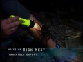 National Geographic Wild Chronicles : Tarantula National Geographic Wild Chronicles : Tarantula